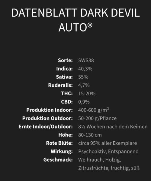 SweetSeeds / Living Soil / Only Water. Week 0