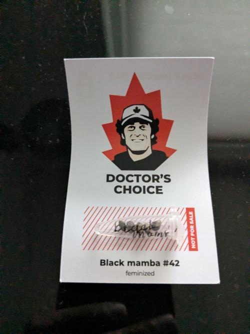 Black Mamba #42. Week 0