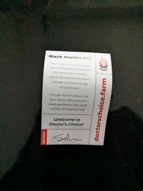 Black Mamba #42. Week 0