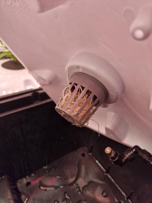 DTW HPA|High Pressure Aeroponic|DSH. Week 1