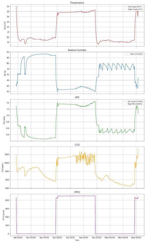 DTW HPA|High Pressure Aeroponic|DSH. Week 4