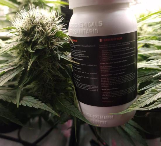 DTW HPA|High Pressure Aeroponic|DSH. Week 8 - 250ml Bottle