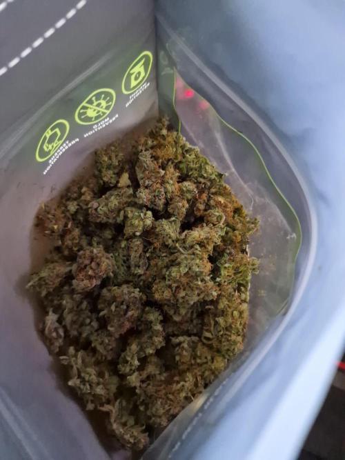 DTW HPA|High Pressure Aeroponic|DSH. Week 13