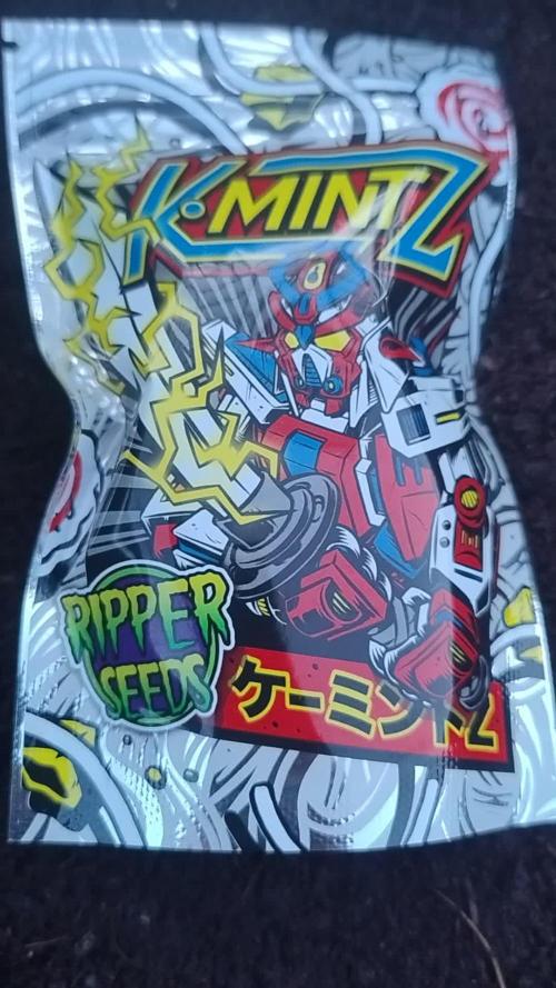 Ripper seeds Kmintz