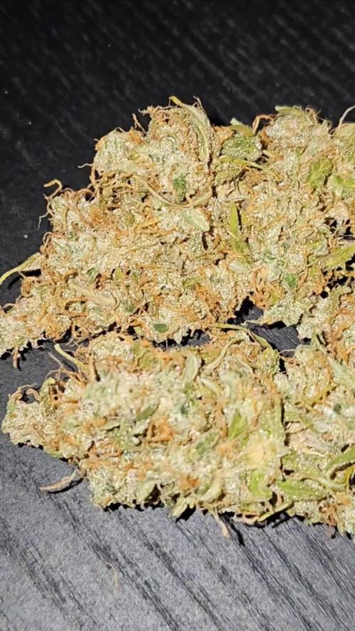 Greenhouse Kings Kush Auto