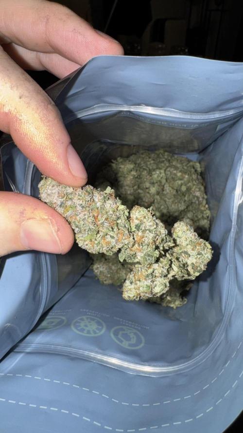 Biskanté x Kryptochronic. Week 18