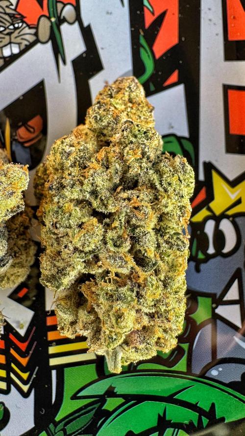 Diesel and Decay. Week 14