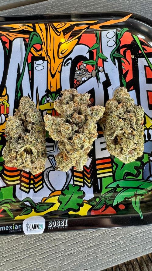 Diesel and Decay. Week 14