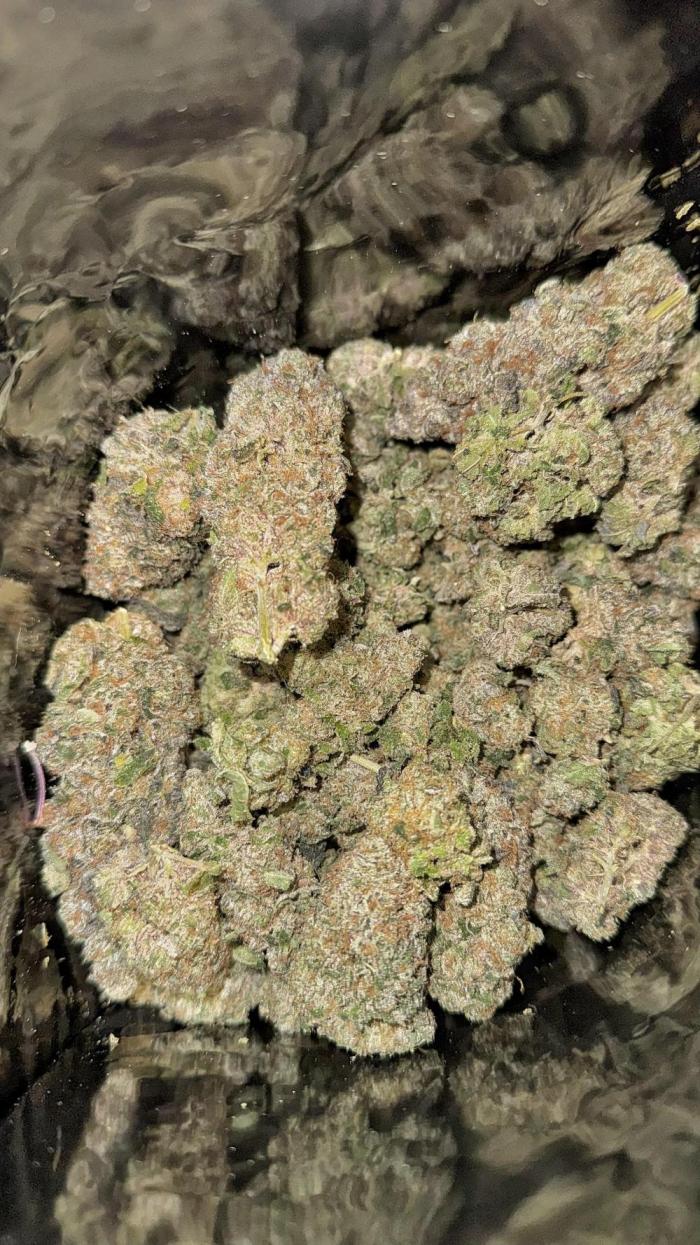 The Dual Ritual [GrapePak x Barf Breath]. Week 19
