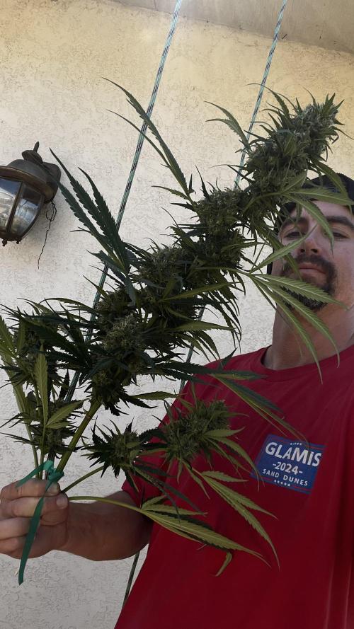 2025 outdoor. Week 10