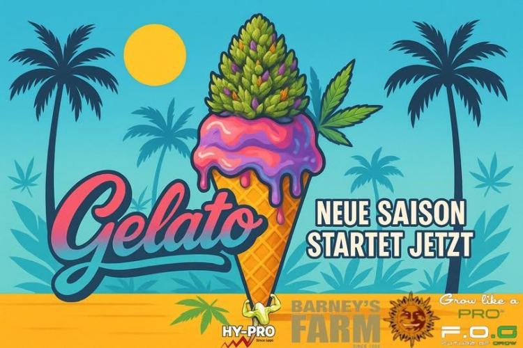 Gelato-Season is ON!. Week 0