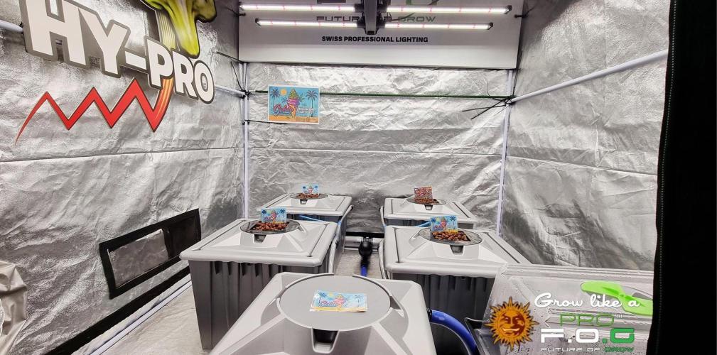Gelato-Season is ON!. Week 0