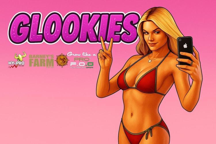 Saison 6 #Glookies. Week 0