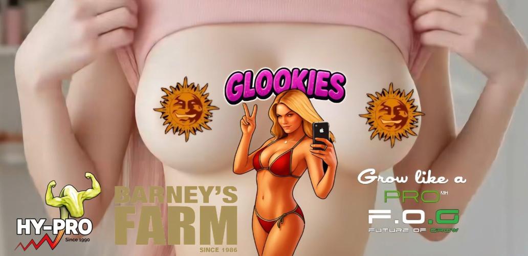 Saison 6 #Glookies. Week 0