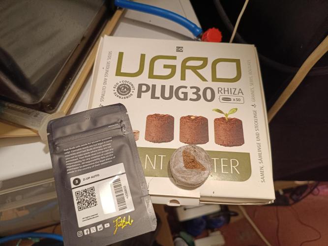 Z-up atuo x1. Week 0