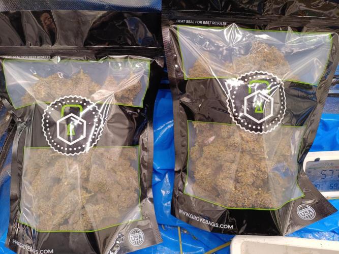 Banana purple punch atuo. Week 14