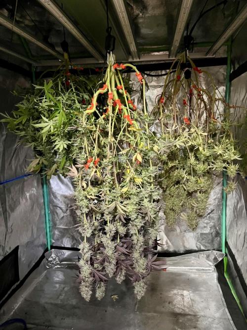 Permanent Marker. Week 18 - Chopped PM front center 