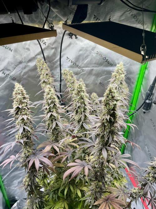 Permanent Marker. Week 19