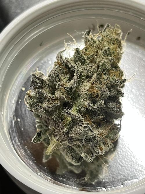 Permanent Marker. Week 20