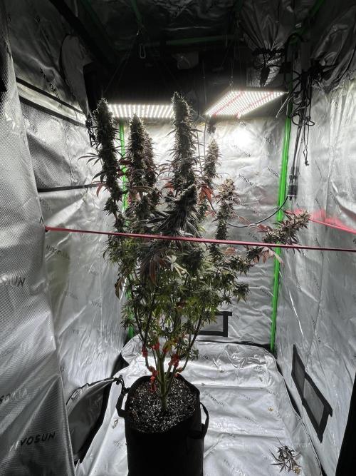 Permanent Marker. Week 20