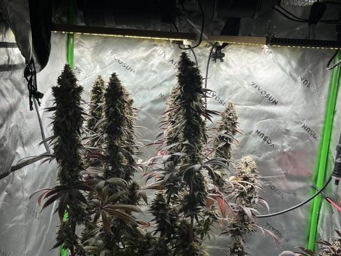 Permanent Marker. Week 20