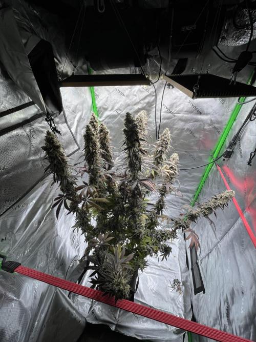 Permanent Marker. Week 20