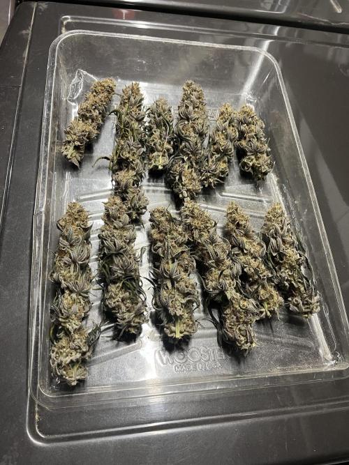 Permanent Marker. Week 21