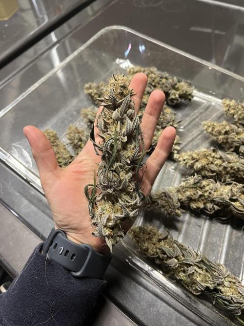 Permanent Marker. Week 21