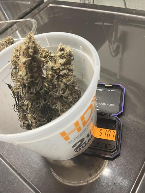 Permanent Marker. Week 21