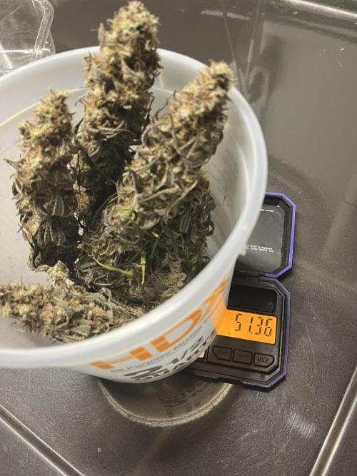 Permanent Marker. Week 21