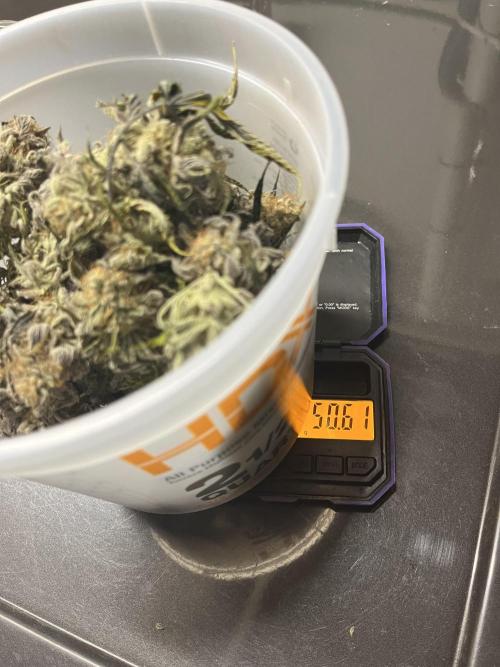 Permanent Marker. Week 21