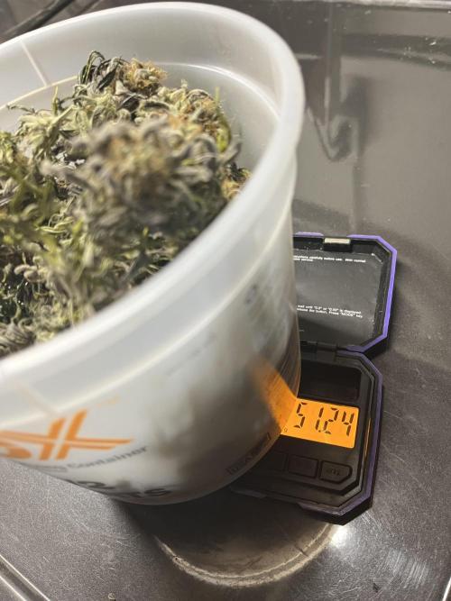 Permanent Marker. Week 21