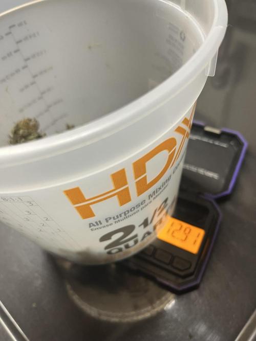 Permanent Marker. Week 21