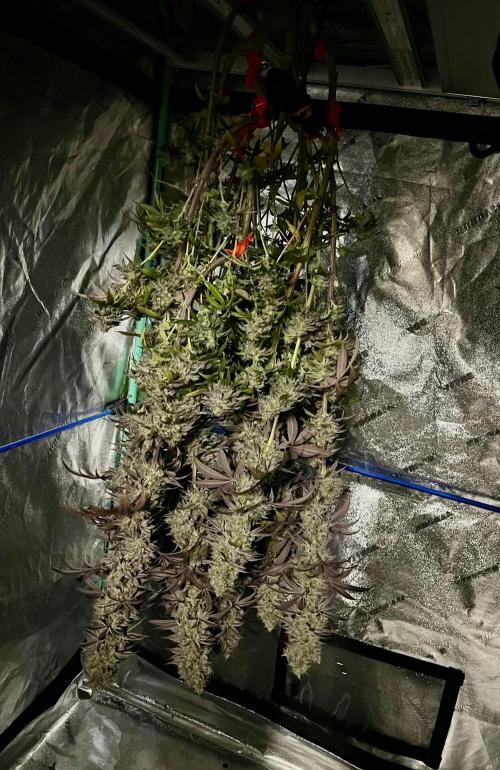 Permanent Marker. Week 21