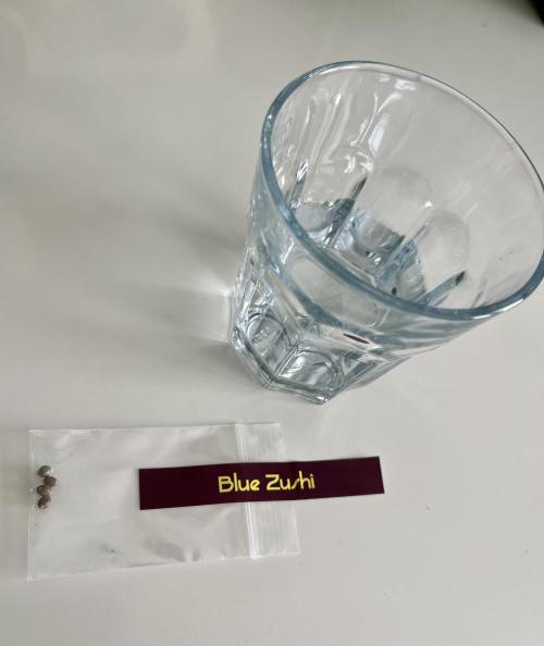 Blue Zushi. Week 0