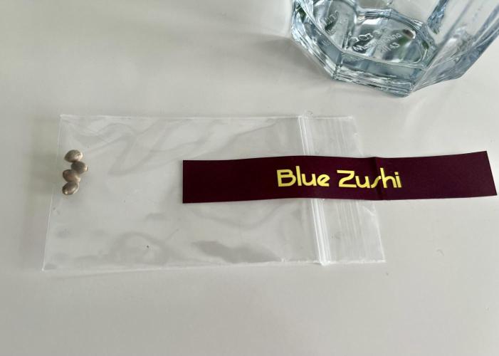 Blue Zushi. Week 0