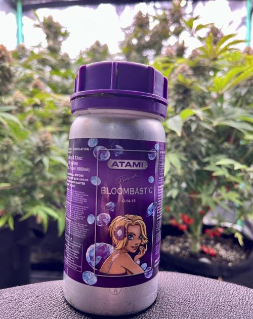 Grandmommy Purple. Week 18