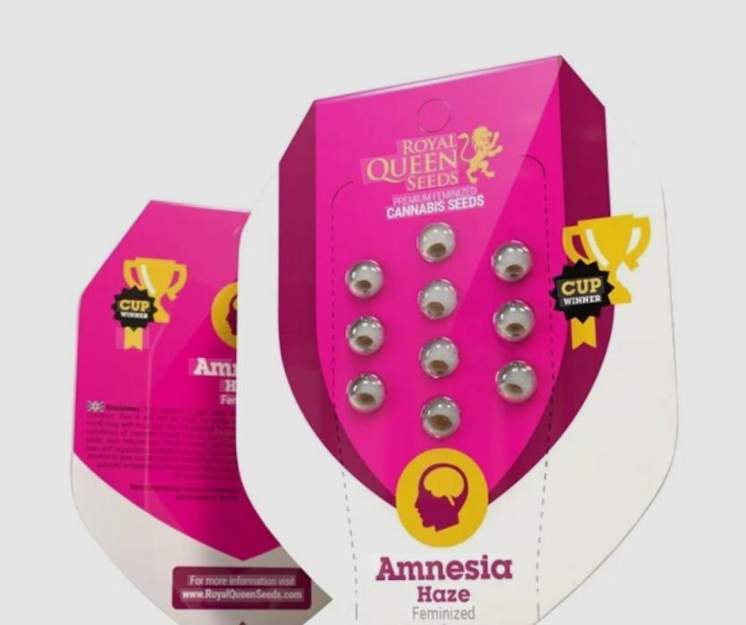 RQS Amnesia Haze. Week 0