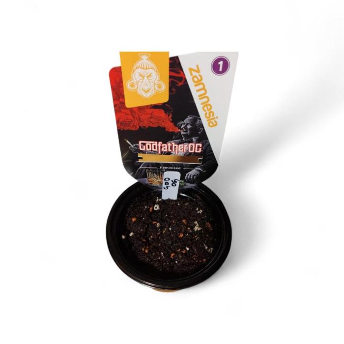 Godfather OG. Week 0