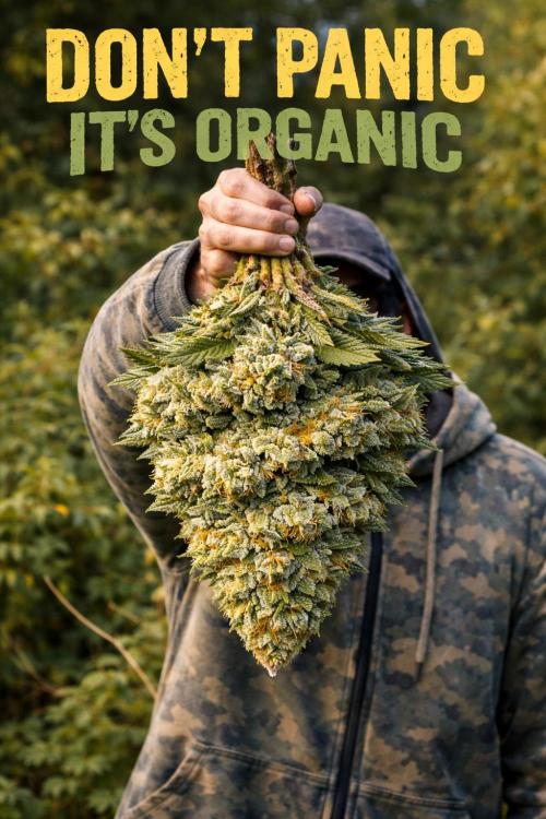 Sensi Star "Dont Panic Its Organic". Week 0