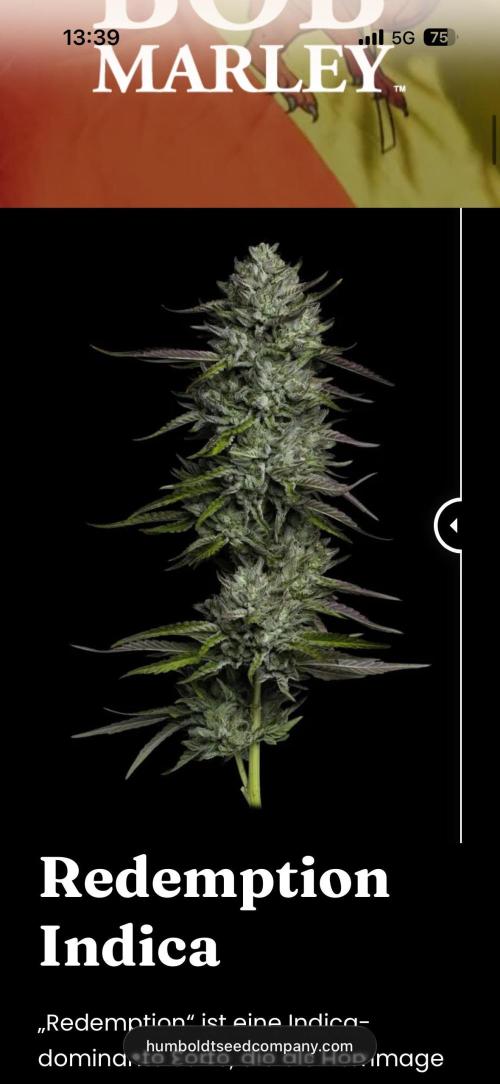 Redemption Indica. Week 0