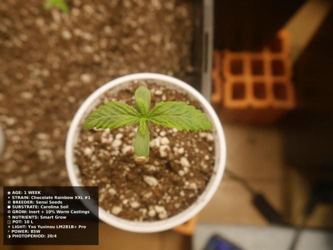 Grow of Two Thousand And Twenty-Two. Week 1