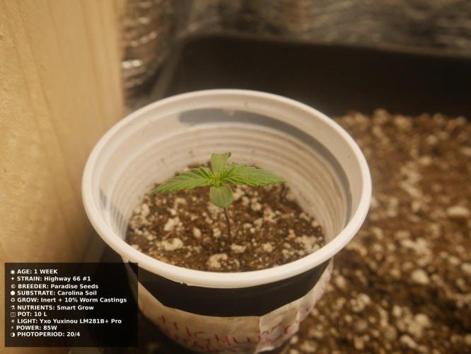 Grow of Two Thousand And Twenty-Two. Week 1