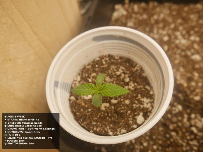 Grow of Two Thousand And Twenty-Two. Week 1