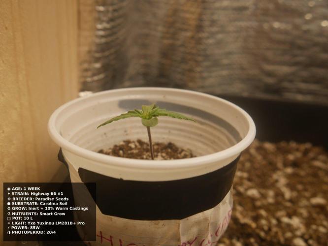 Grow of Two Thousand And Twenty-Two. Week 1