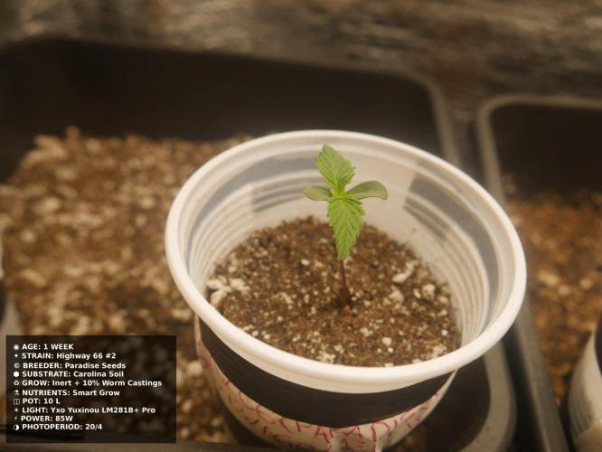 Grow of Two Thousand And Twenty-Two. Week 1