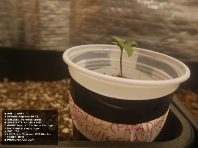 Grow of Two Thousand And Twenty-Two. Week 1