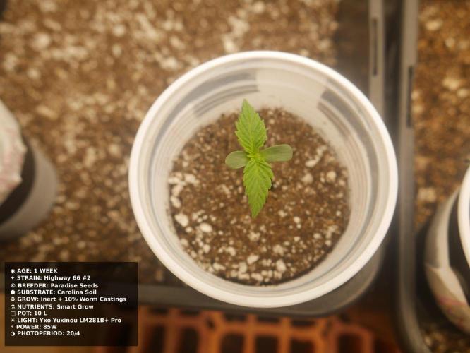 Grow of Two Thousand And Twenty-Two. Week 1