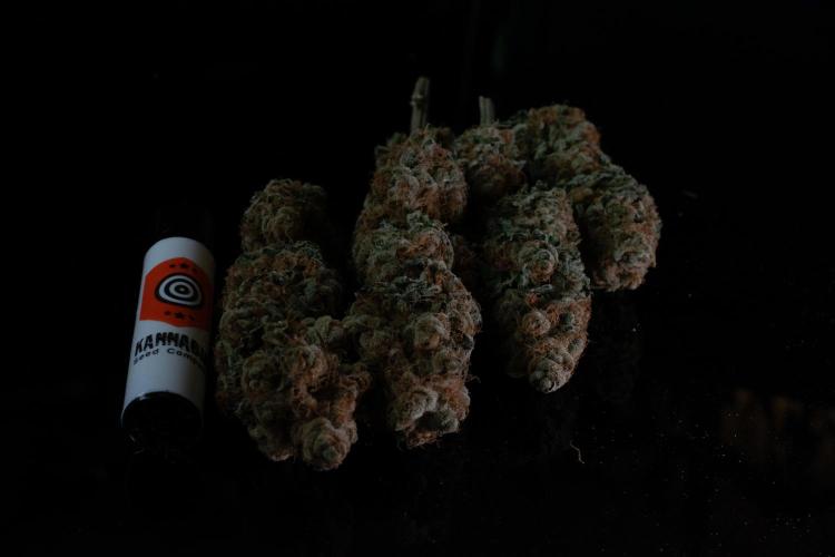 Oreoz 🇺🇸. Week 15