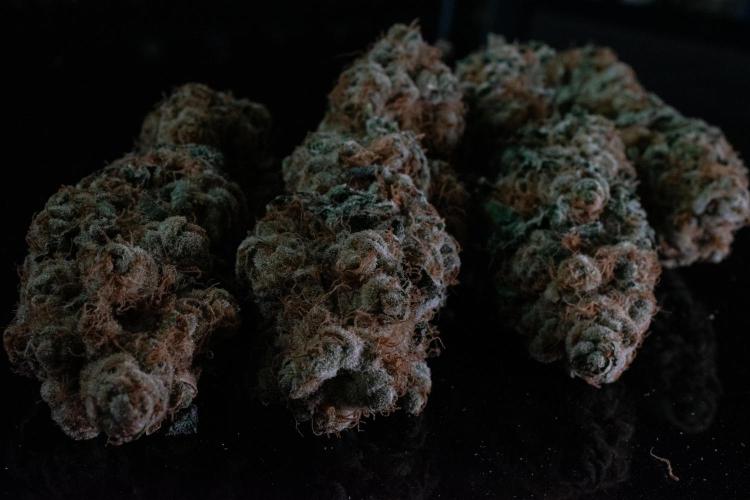 Oreoz 🇺🇸. Week 15